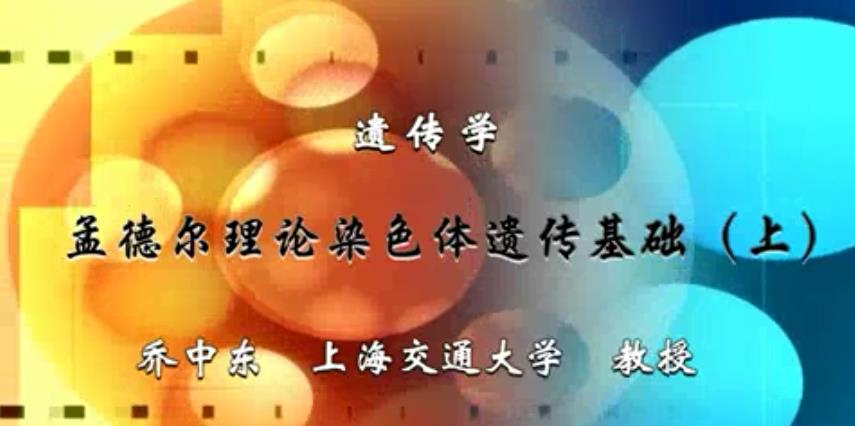 遗传学视频教程 36讲 乔中东 上海交通大学
